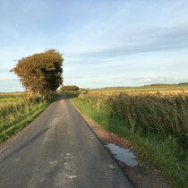 Ausgewaschenes Bankett